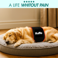 RED LIGHT THERAPY DOG