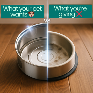 Pet Water Fountain