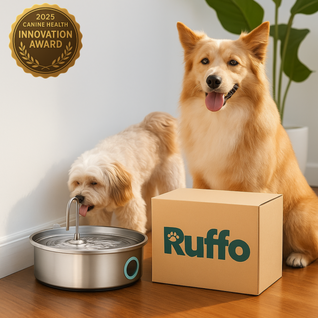 Pet Water Fountain